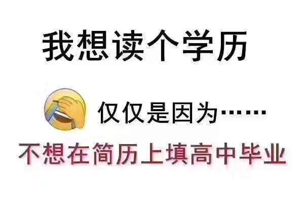 成都领孚教育咨询有限公司